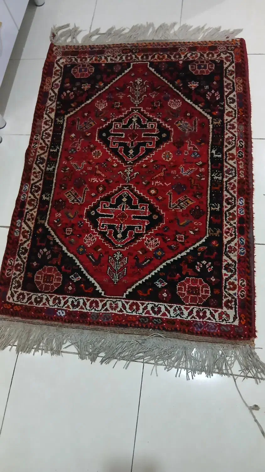 قالیچه محلی بافت پاسارگاد|فرش|شیراز, زرهی|دیوار