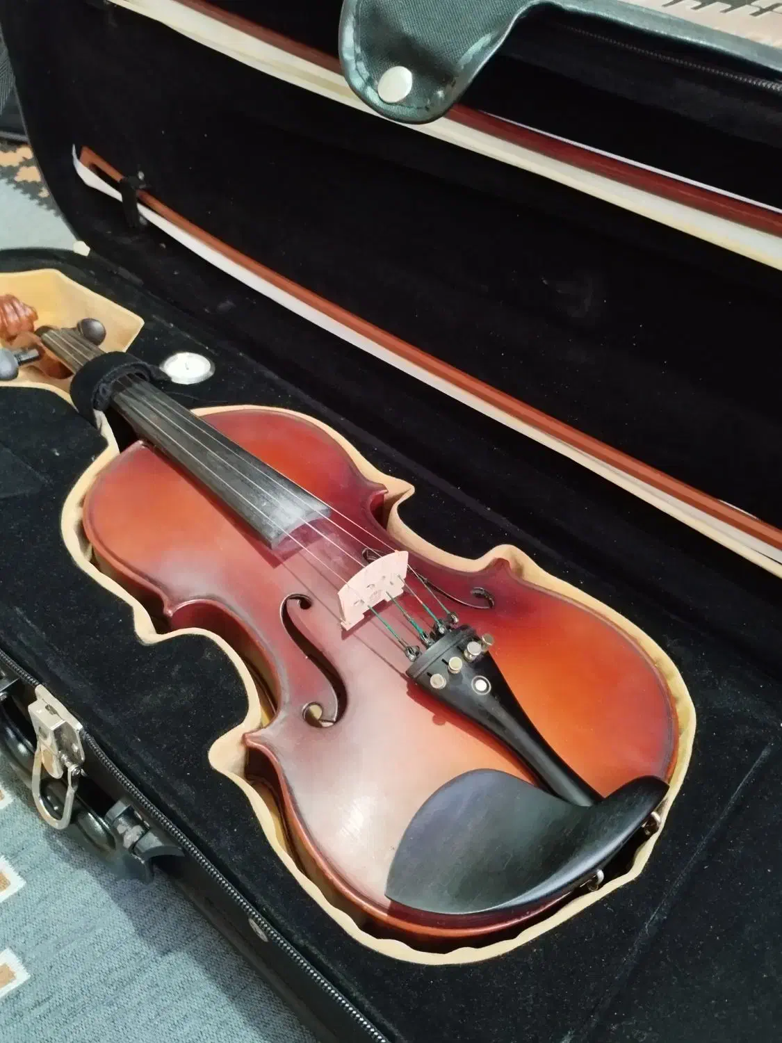 دست ساز همایونی|ویولن|شیراز, شهرک قمشه|دیوار