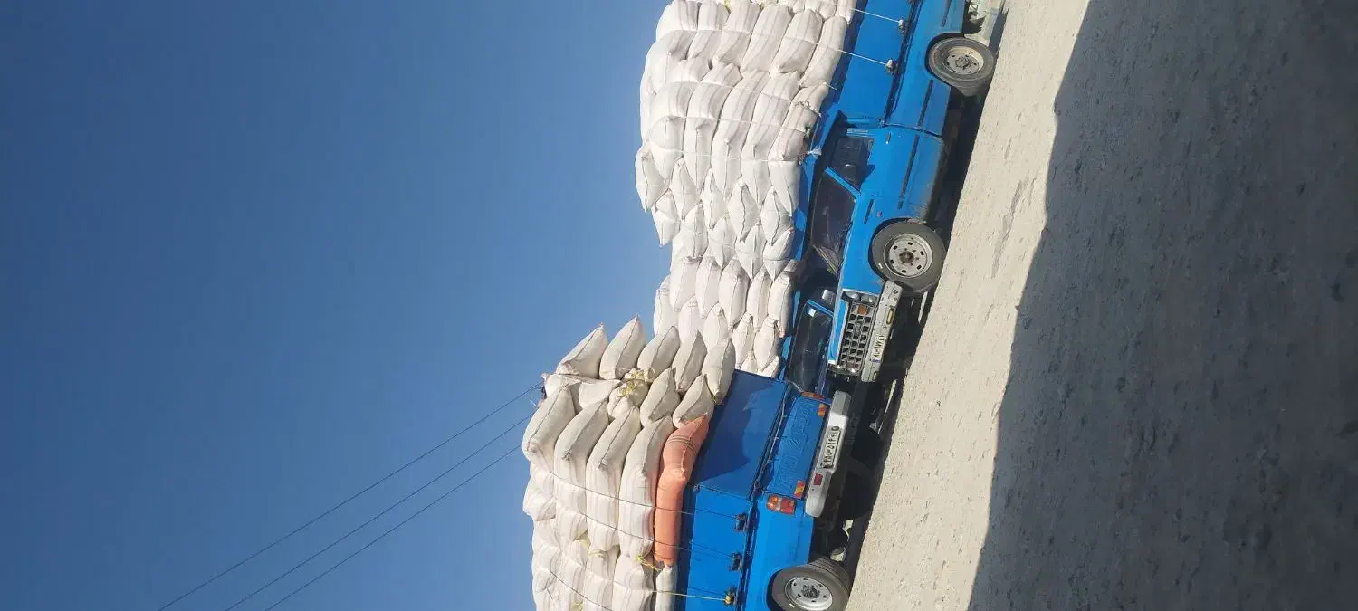 کاه|لوازم جانبی حیوانات|کوهدشت, |دیوار