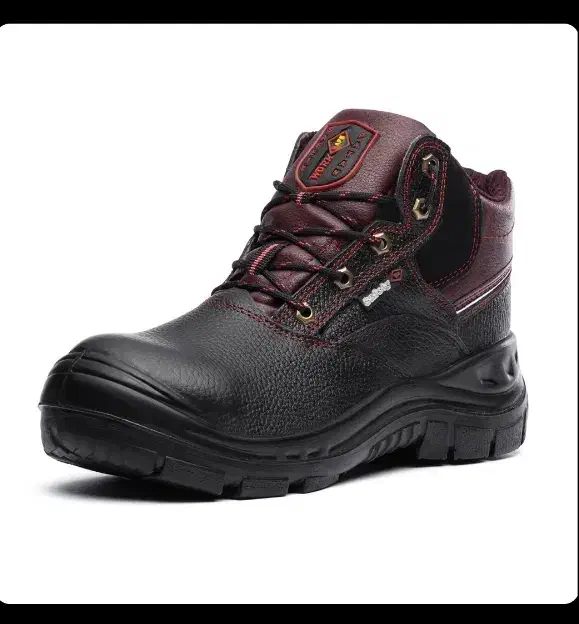 کفش کار|کیف، کفش، کمربند|اراک, |دیوار