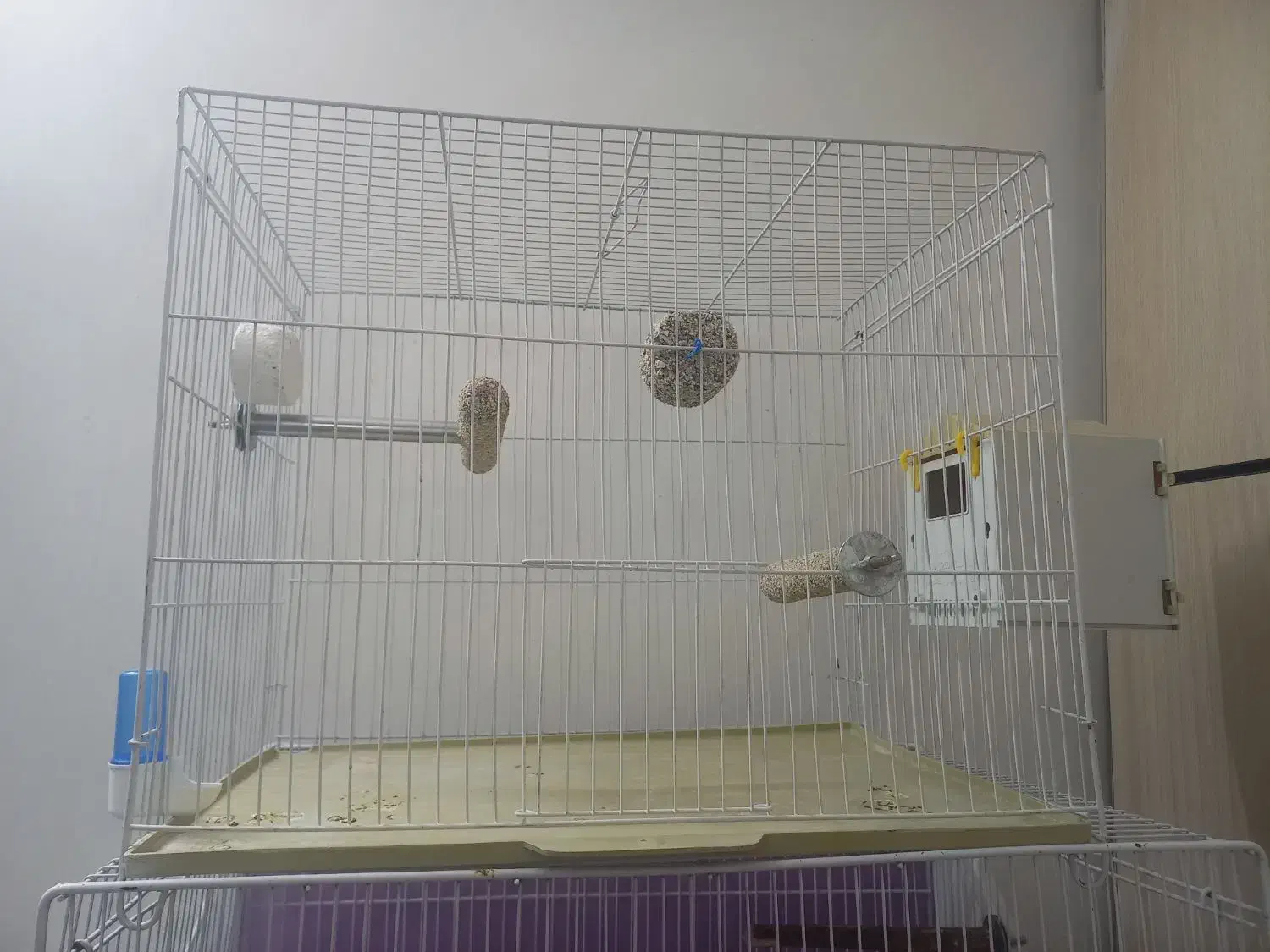 لوازم قفس وپرنده|لوازم جانبی حیوانات|بیرجند, |دیوار