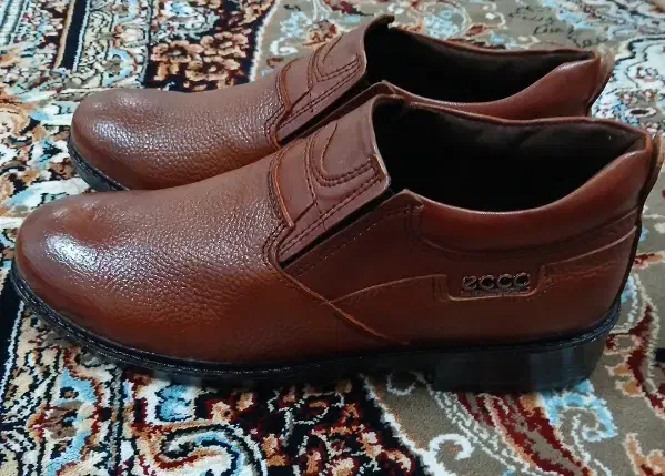 کفش مردانه|کیف، کفش، کمربند|آبدانان, |دیوار