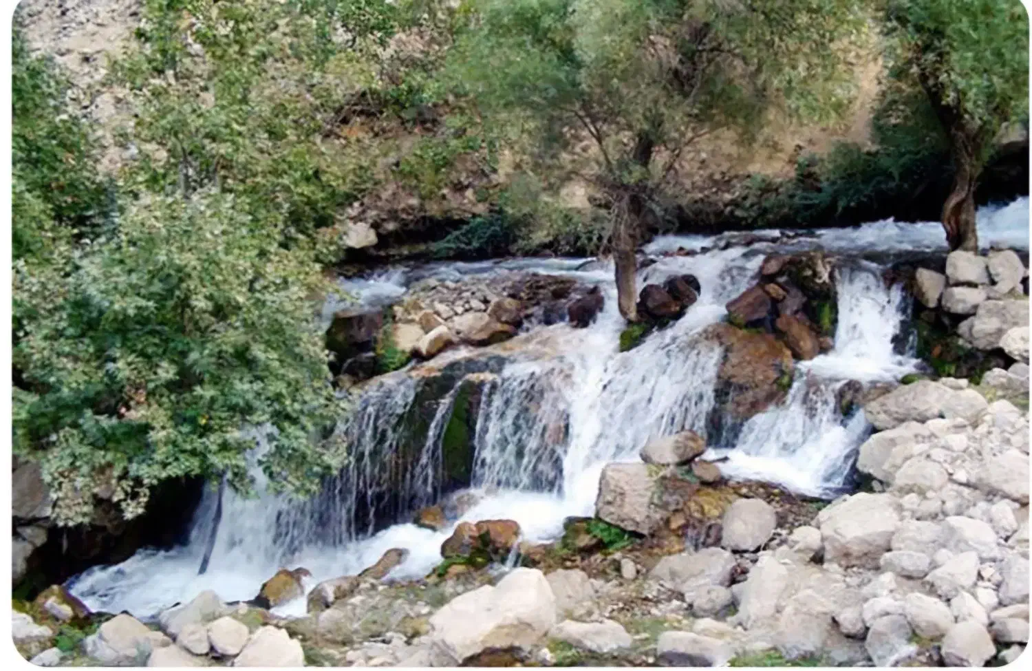 تور یکروز باغملک روستای مالاقا|تور و چارتر|اهواز, مهرشهر|دیوار