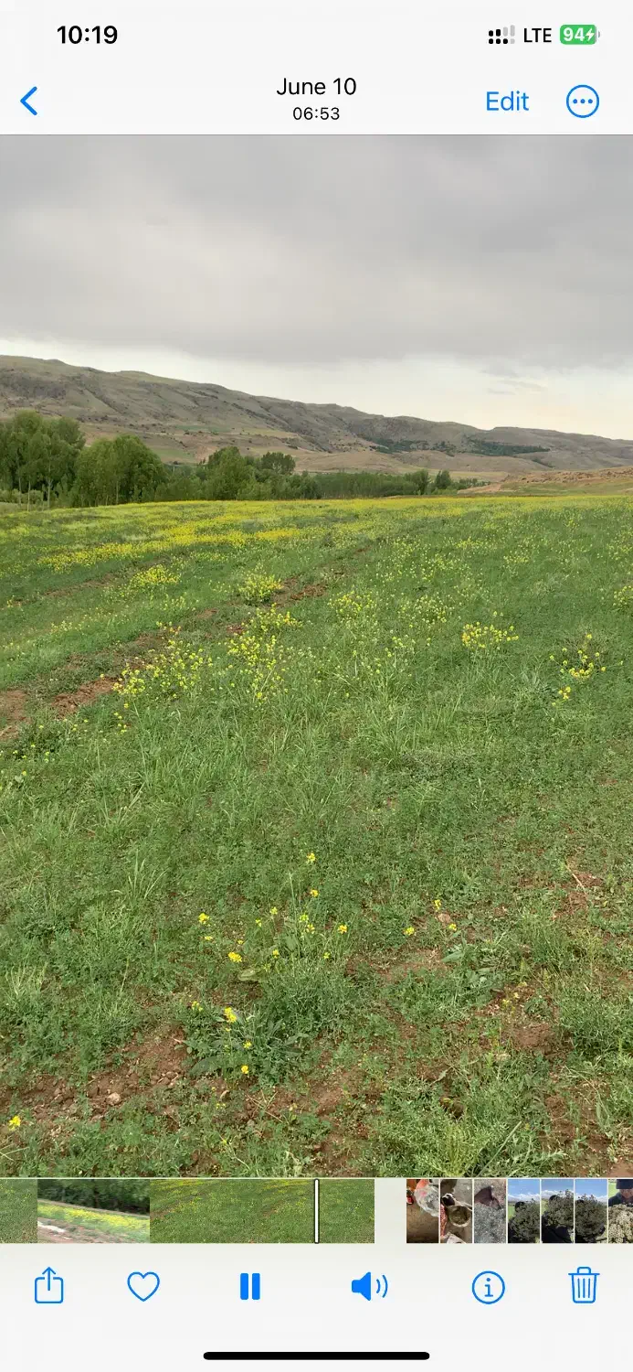 فروش زمین کشاورزی با قابلیت احداث باغ|فروش زمین و ملک کلنگی|ویلکیج, |دیوار