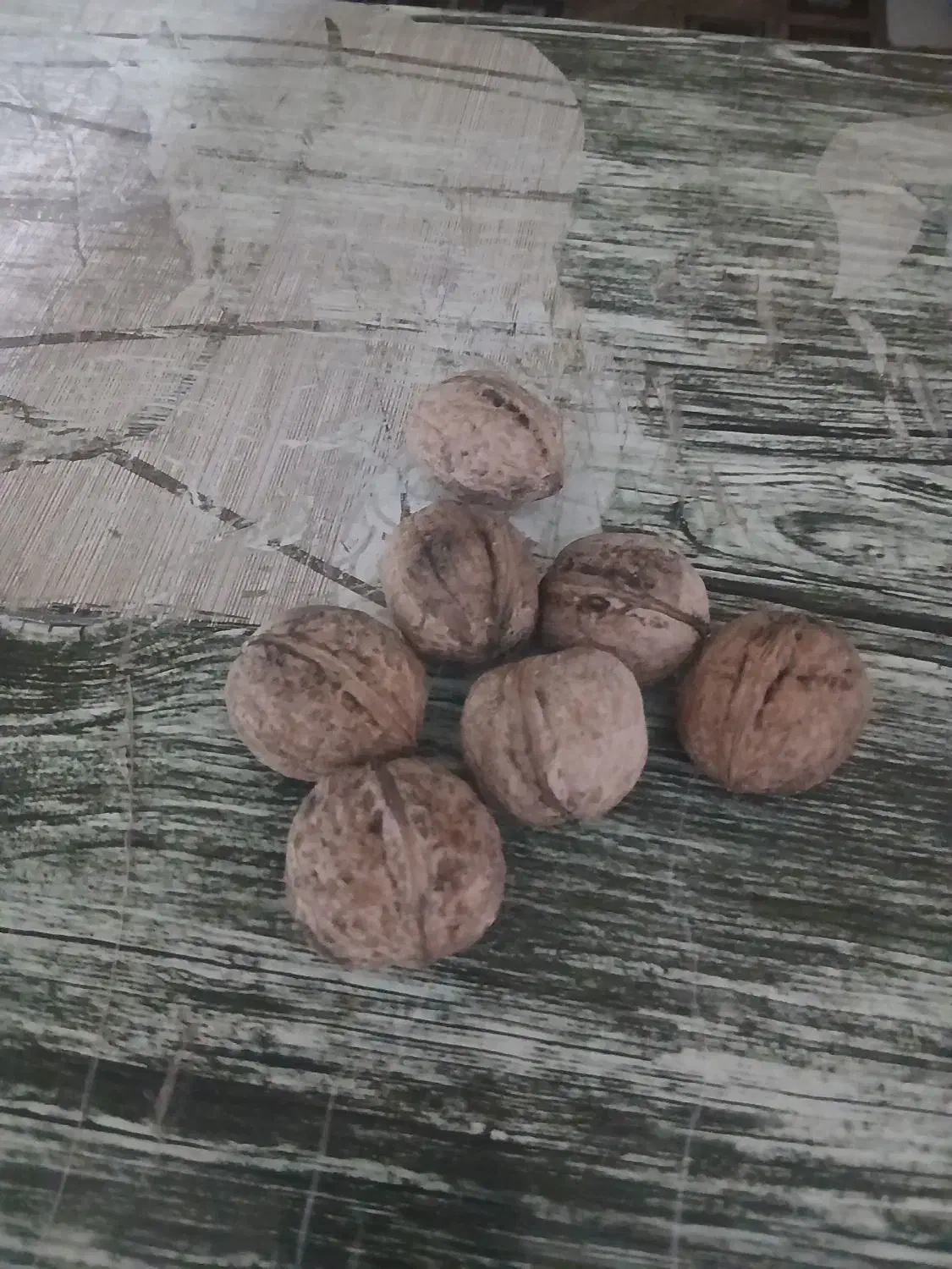 گردو فروشی|خوردنی و آشامیدنی|ملایر, |دیوار