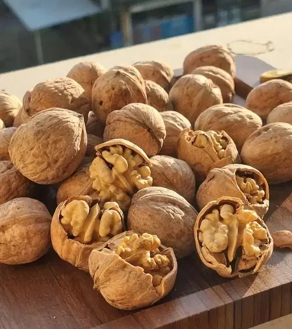 گردو کاملا خشک وپرچرب تویسرکان|خوردنی و آشامیدنی|تهران, امام حسین|دیوار