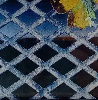 نیروی خدماتی|خدمات نظافت|تهران, شهرک ولیعصر جنوبی|دیوار