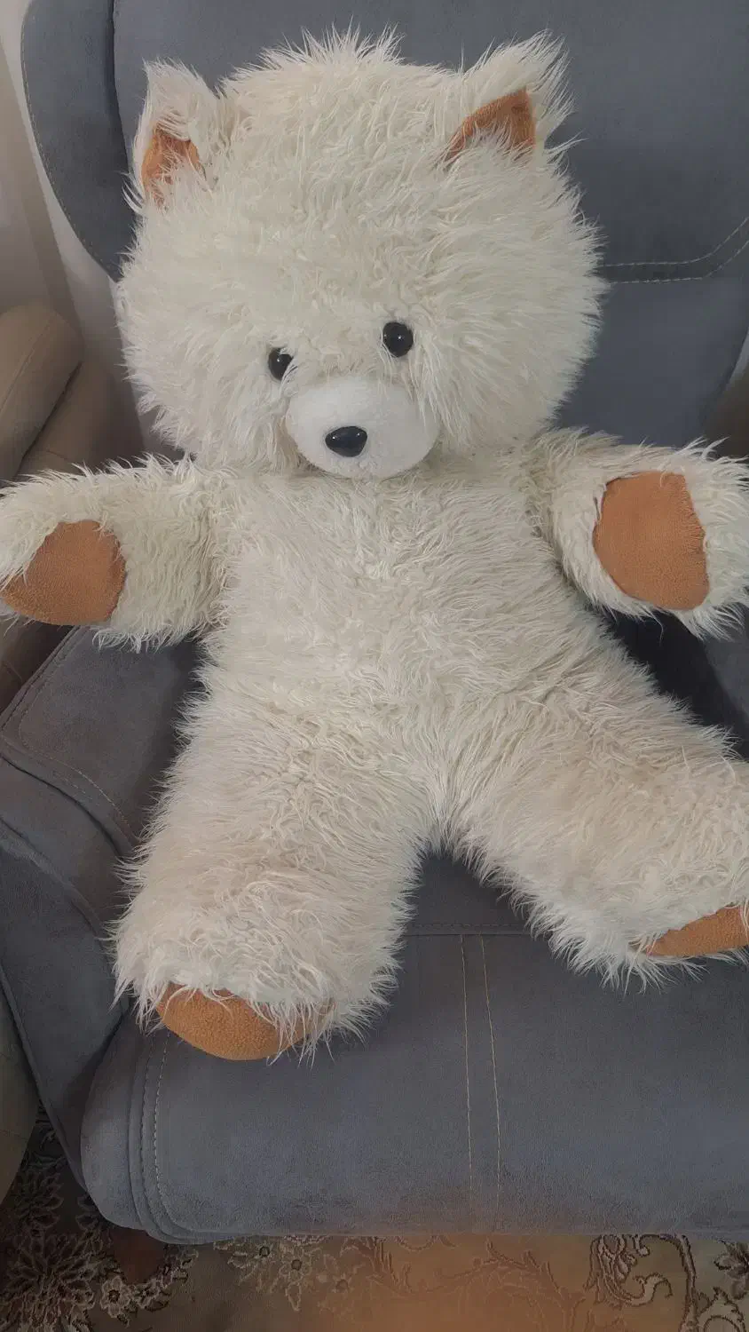 خرس بزرگ|اسباببازی بچه|مشهد, کارمندان دوم|دیوار