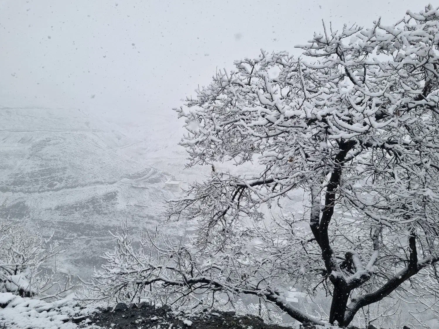 اجاره ی ویلا و سوییت در روستای کنگ در شب یلدا|اجارهٔ کوتاهمدت ویلا و باغ|طرقبه, |دیوار