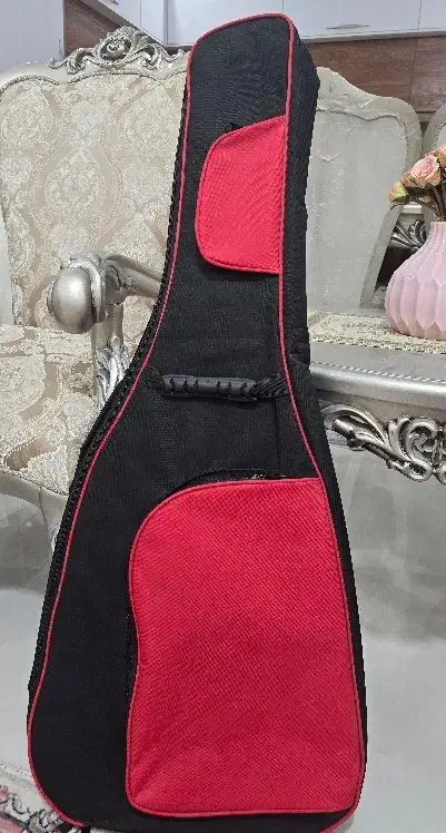 کیف گیتار|گیتار، بیس، امپلیفایر|بیرجند, |دیوار