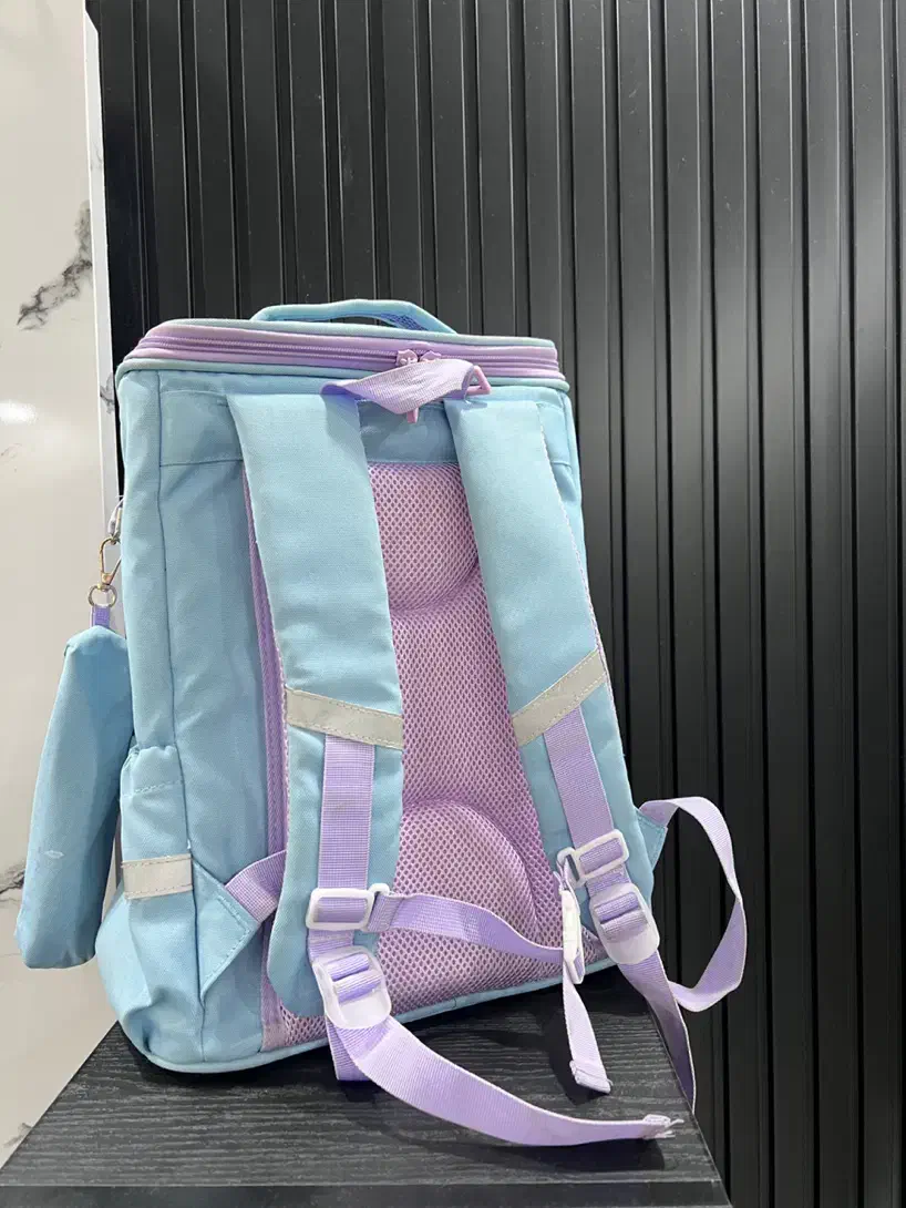 کیف مدرسه|کیف، کفش، کمربند|رشت, فلسطین|دیوار