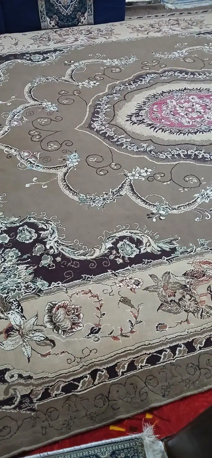 قالی تمیز|فرش|خرمشهر, |دیوار