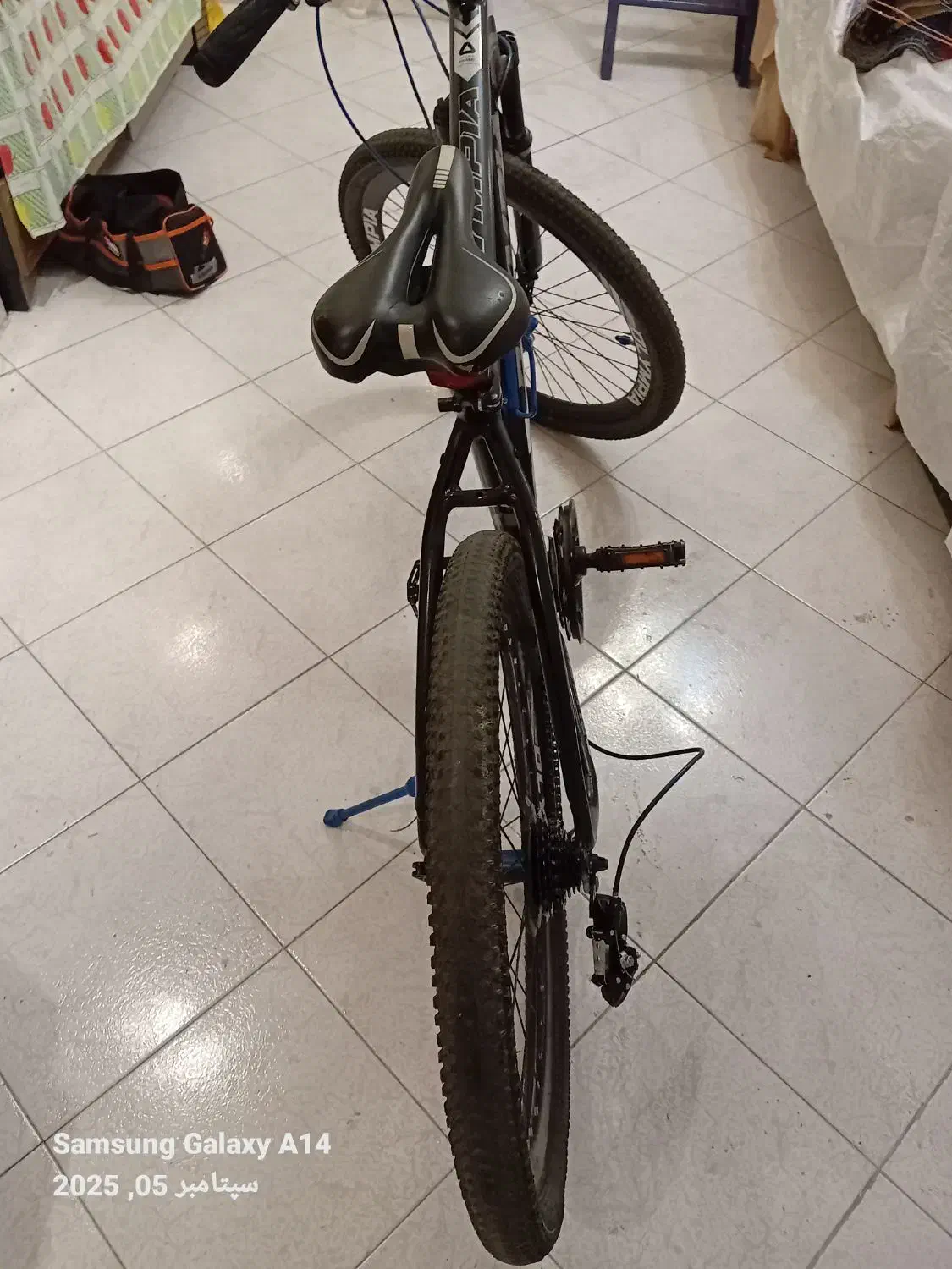 دوچرخه|دوچرخه، اسکیت، اسکوتر|تهران, درختی|دیوار