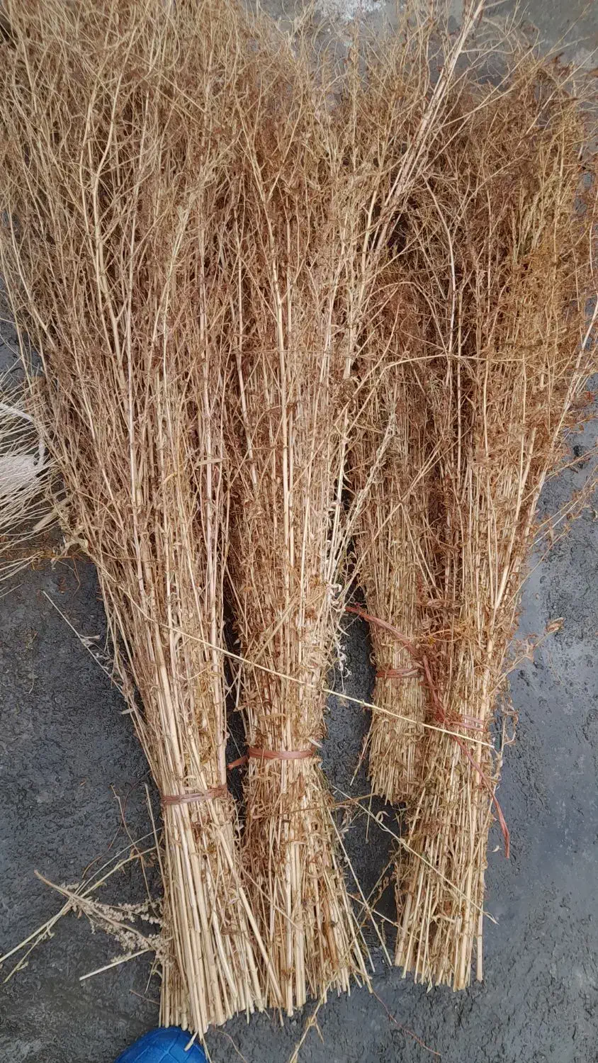 جارو|لوازم نظافت|نهاوند, |دیوار