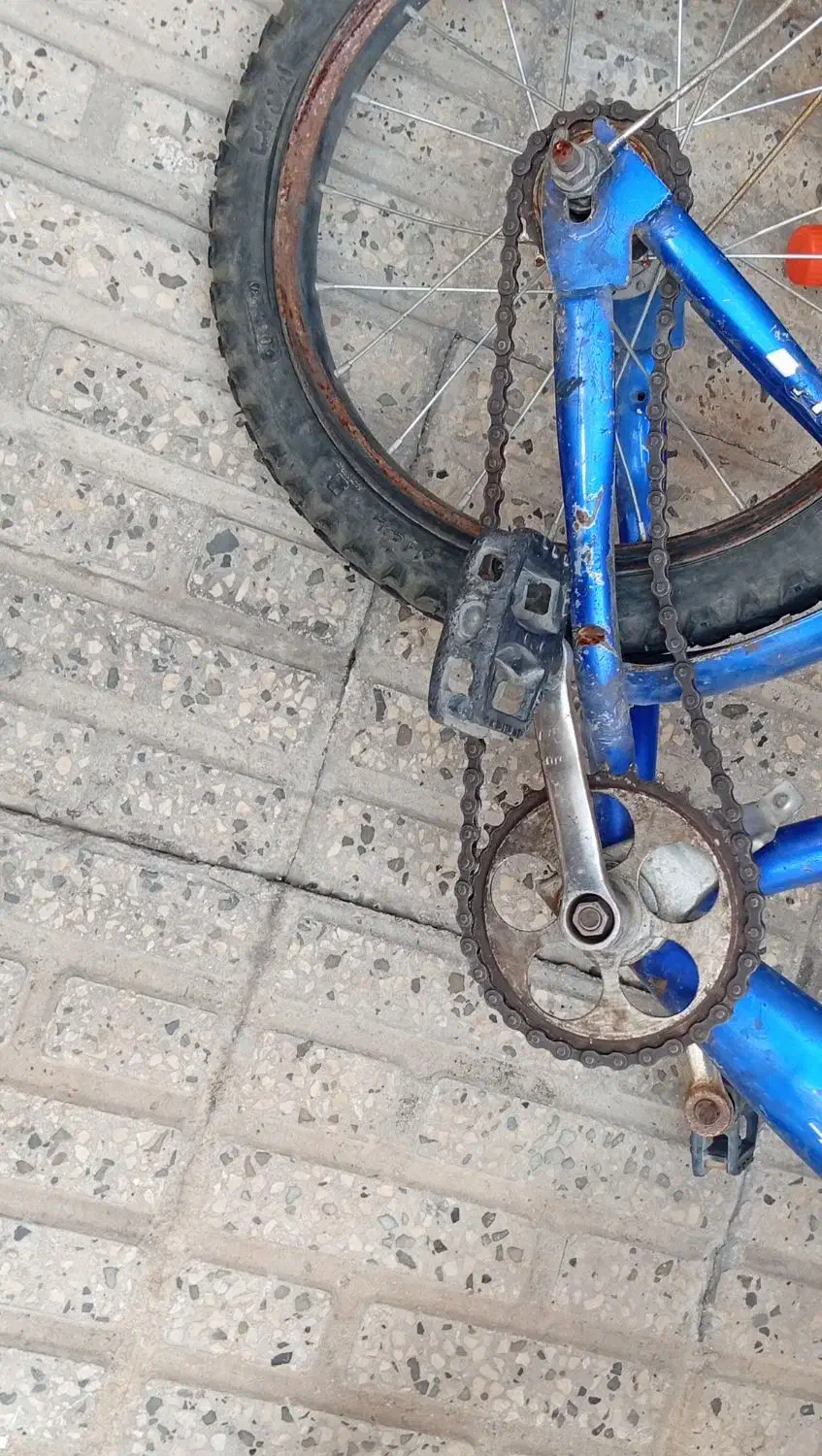 دوچرخه سایز ۱۶|دوچرخه، اسکیت، اسکوتر|گرگان, |دیوار