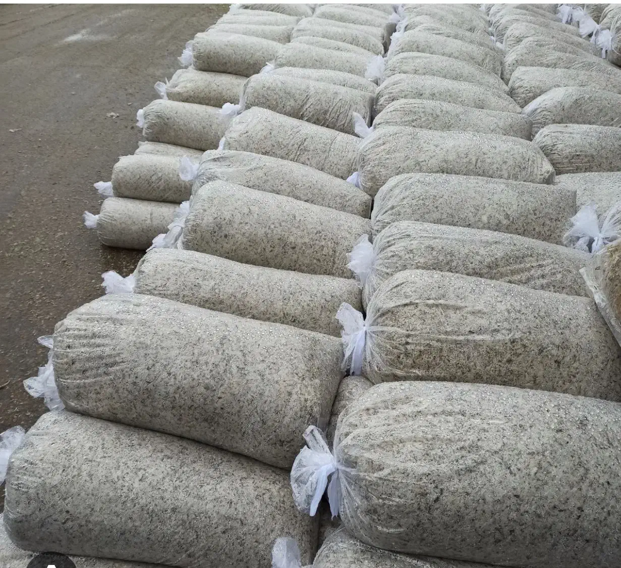 تفاله چغندر|عمده‌فروشی|گنبد کاووس, |دیوار