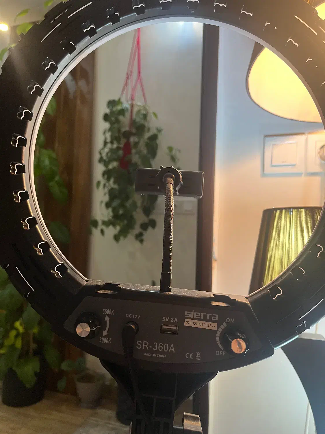 رینگ لایت|لامپ و چراغ|رشت, امین الضرب|دیوار