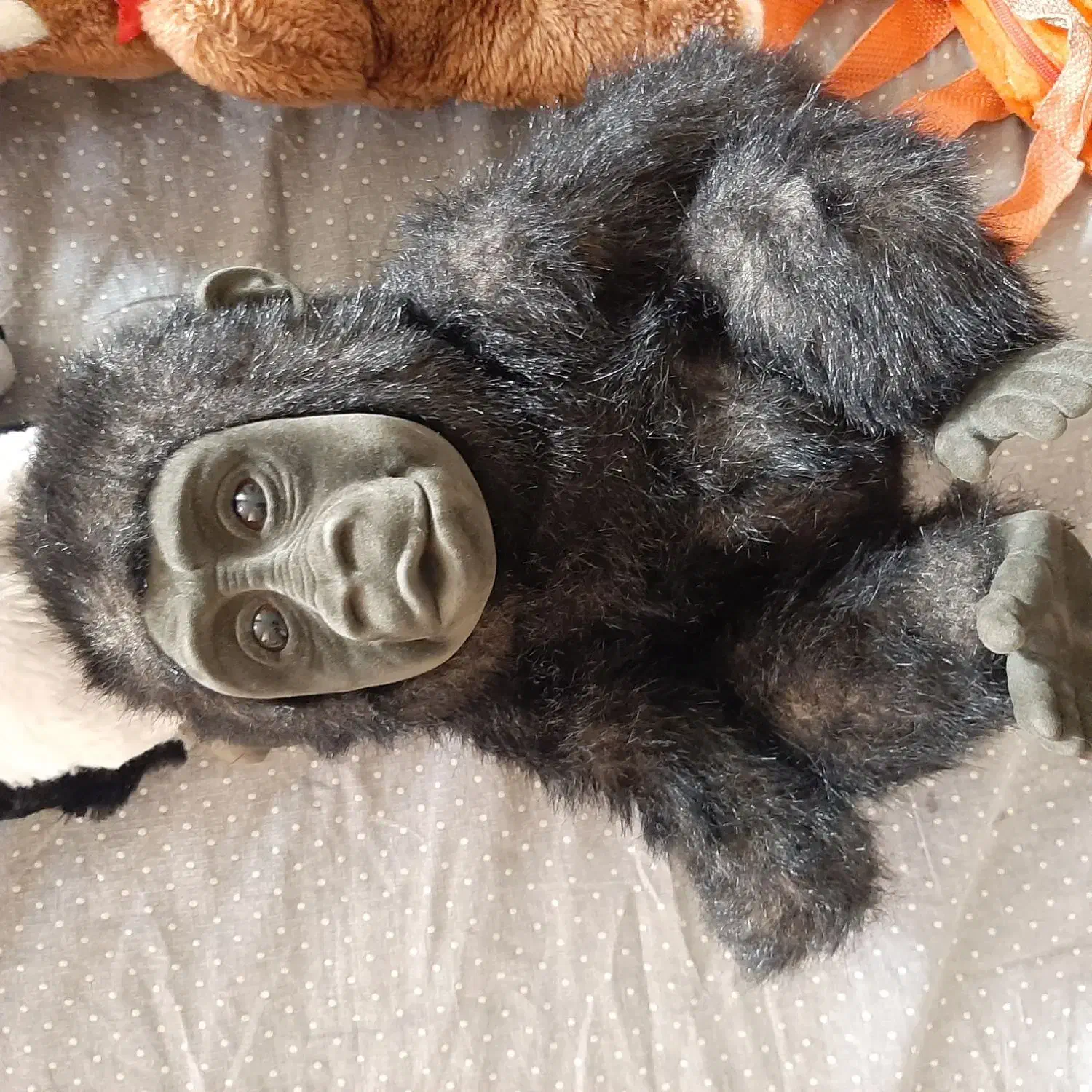 عروسک|اسباببازی بچه|شاهینشهر, فردوسی|دیوار