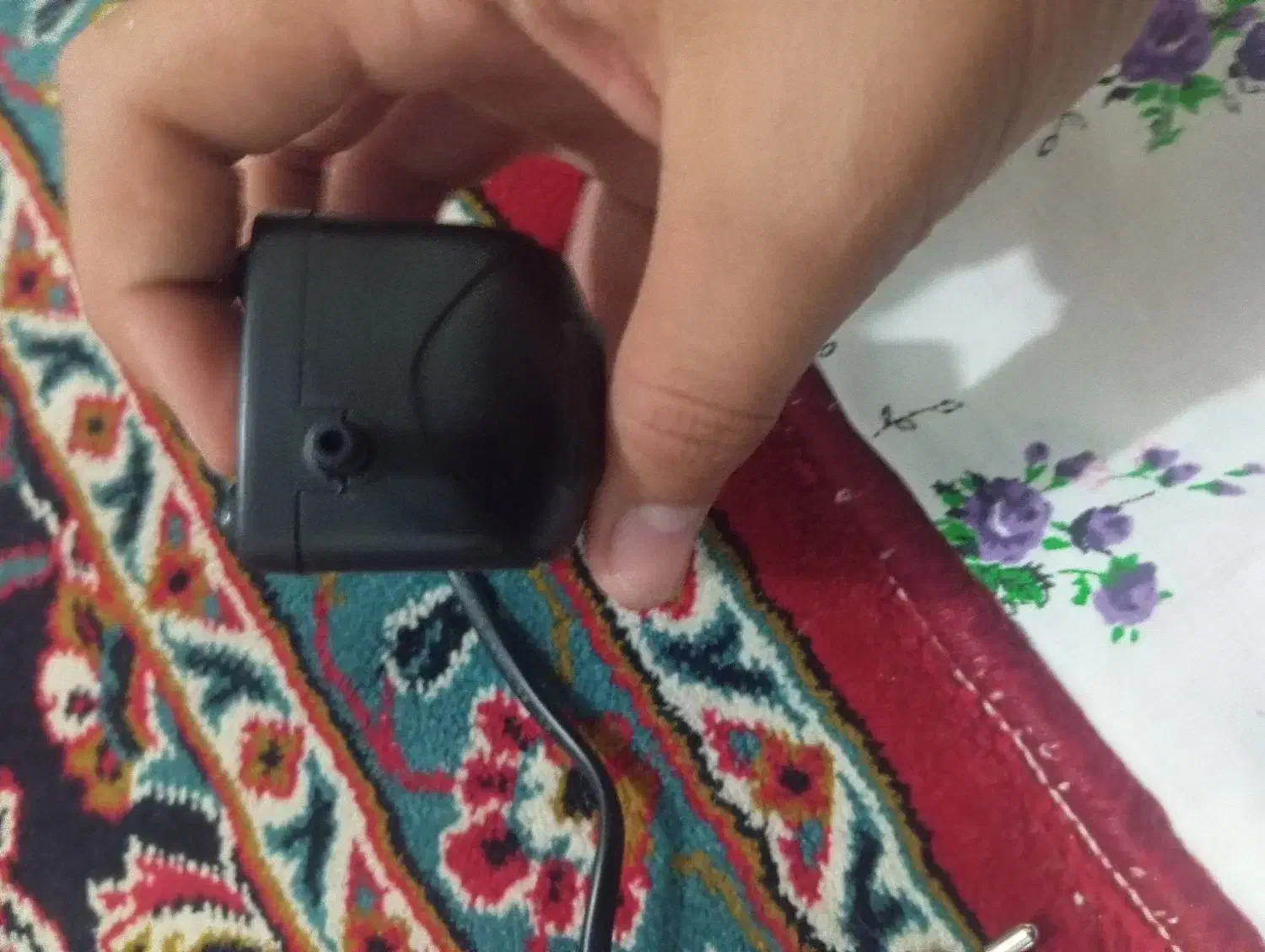 آکواریم وپمپ|ماهی|قم, لسانی|دیوار