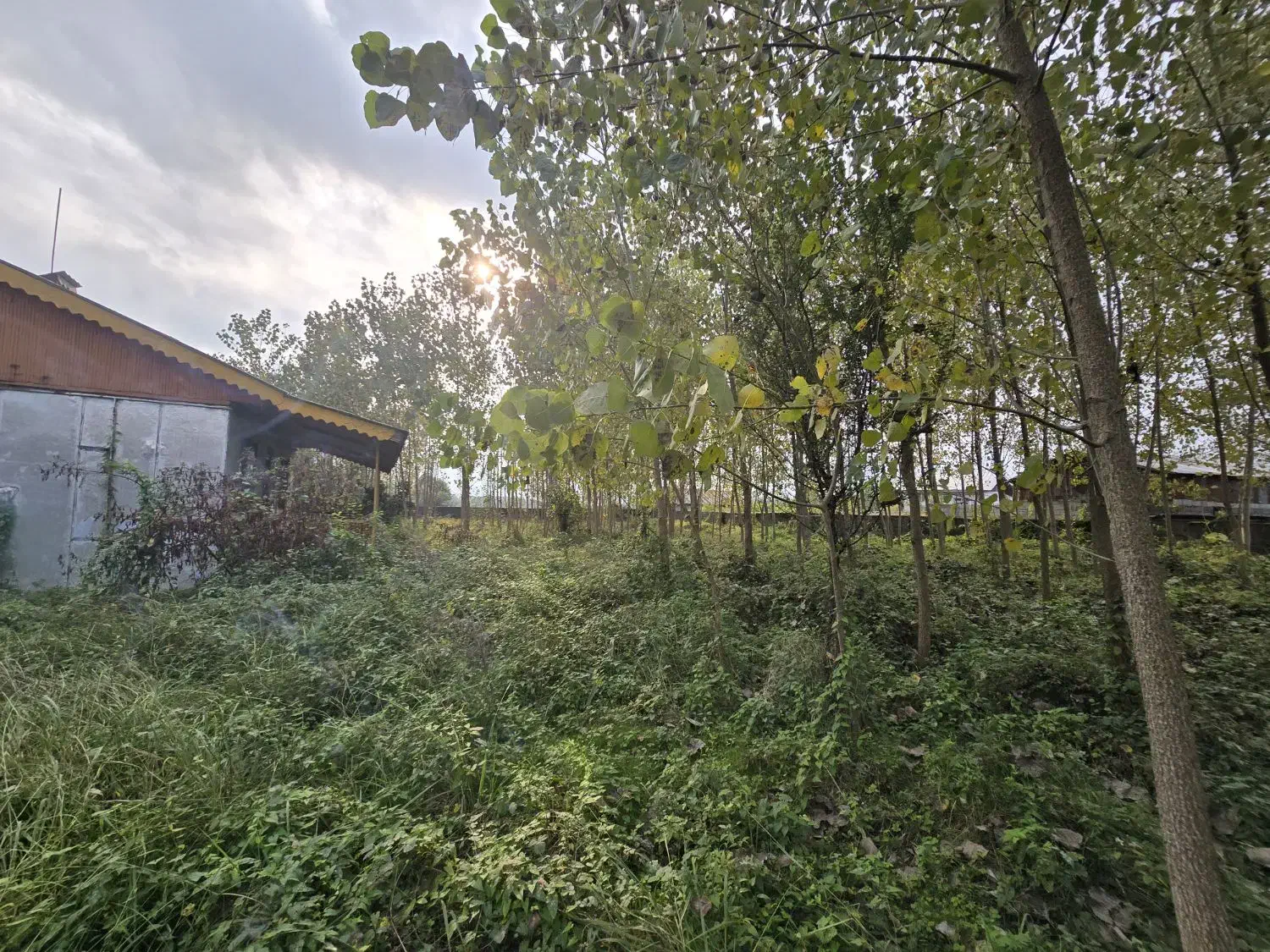 ۲۷۰۰ متر زمین با ویلا و سند ششدانگ|فروش خانه و ویلا|رضوانشهر, |دیوار