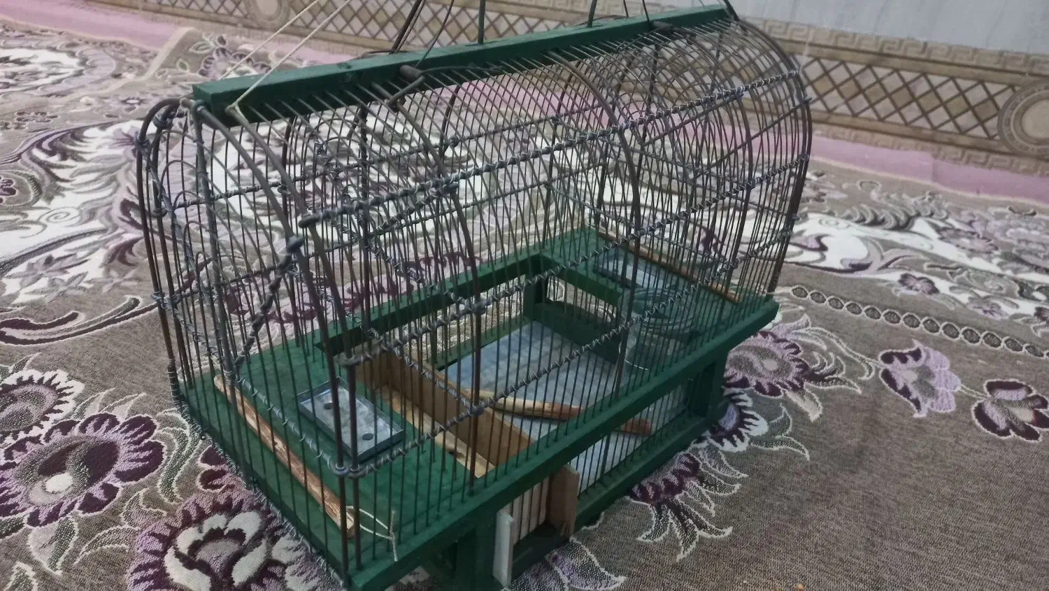 قفس تله ای|لوازم جانبی حیوانات|همدان, |دیوار