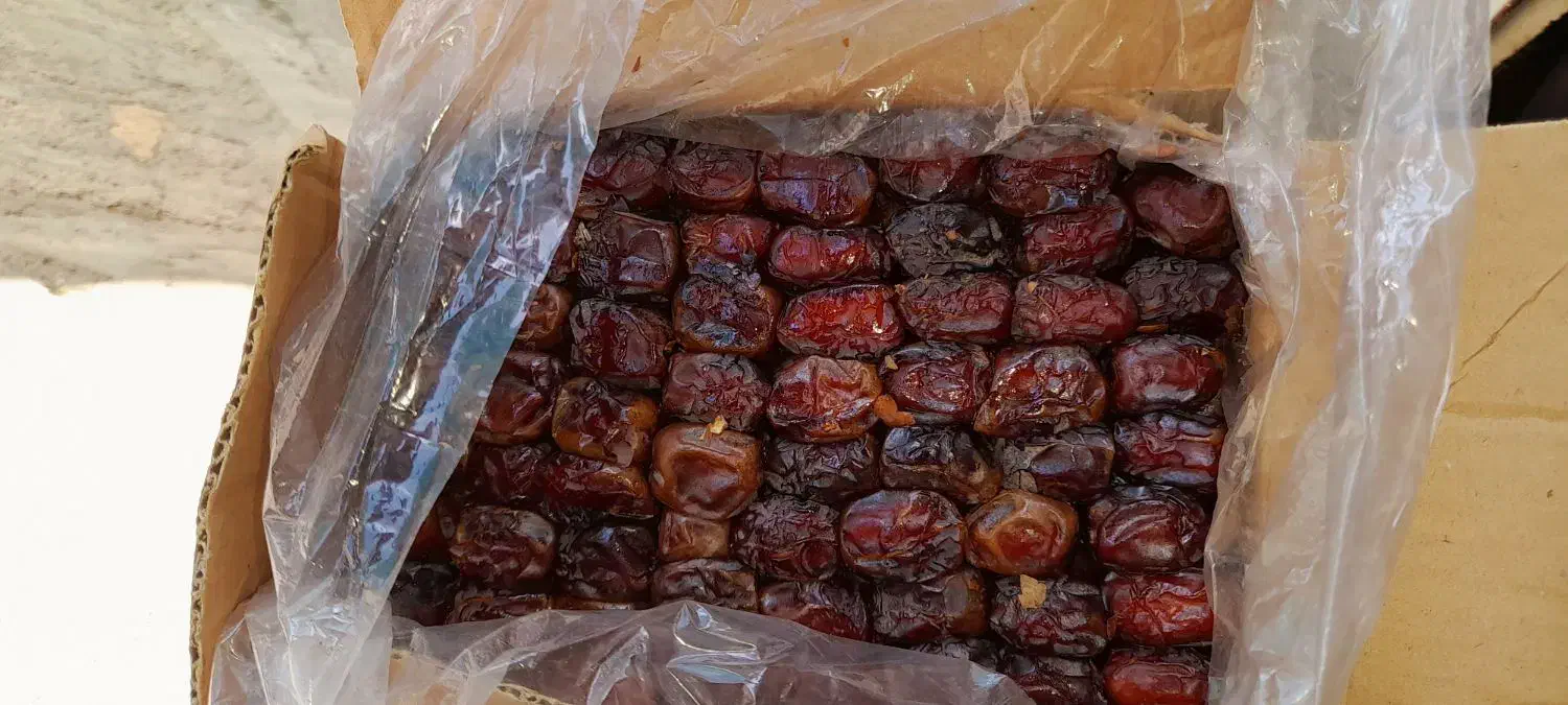 خرما آفتابی کیلویی۱۲۰|عمده‌فروشی|جیرفت, |دیوار