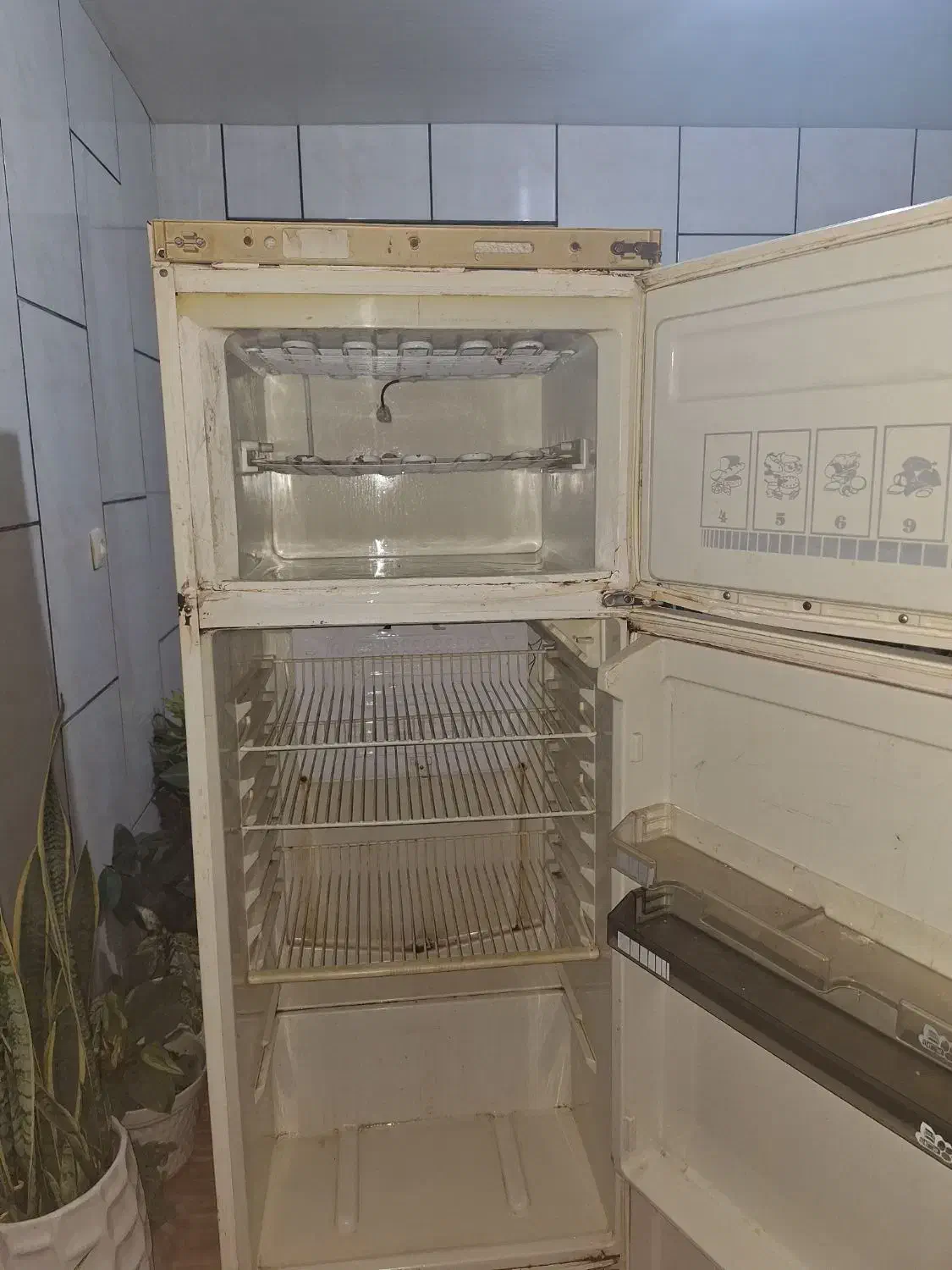 یخچال فیلور|یخچال و فریزر|قائمشهر, |دیوار