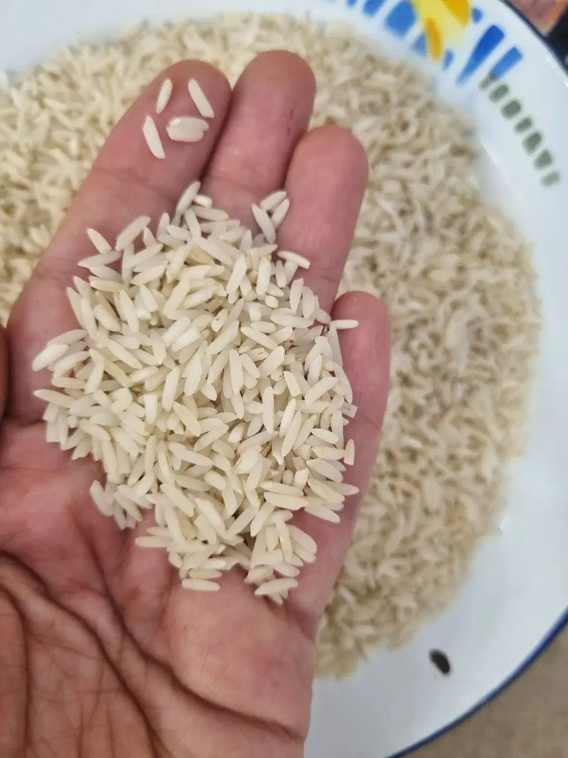 برنج معطر هاشمی سورتینگ شده|خوردنی و آشامیدنی|لاهیجان, کوی آزادگان|دیوار