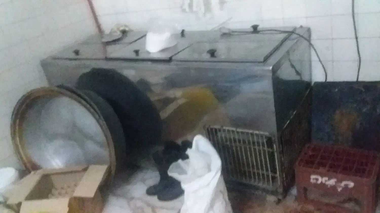 تجهیزات کارگاهی و فروشگاهی قنادی|فروشگاه و مغازه|قائم‌شهر, |دیوار