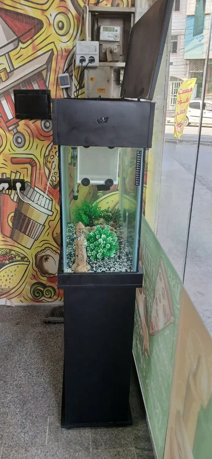 آکواریوم با تمامی وسایل|ماهی|محمدشهر, ولدآباد|دیوار