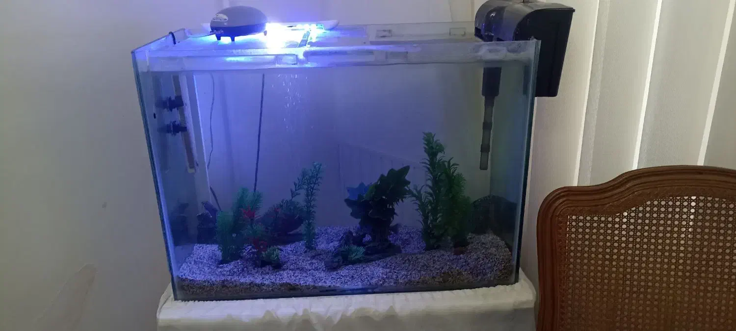 اکواریوم 60*40*85|ماهی|علی‌آباد کتول, |دیوار