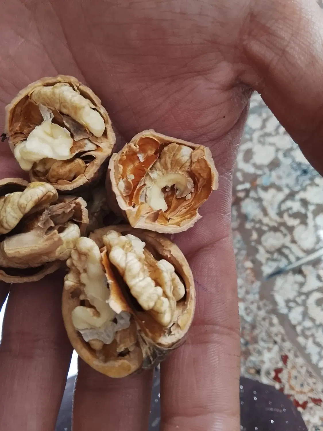 گردو|خوردنی و آشامیدنی|چناران, |دیوار