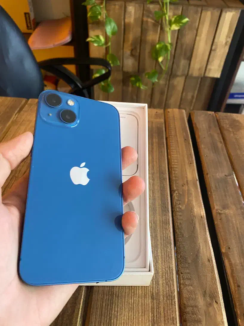 آیفون ۱۳ نرمال|موبایل|مشهد, فلسطین|دیوار