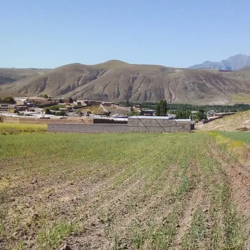 زمین ۳۰۰۰ متر روستای کلوانس - خوی|اجارهٔ خانه و ویلا|صفائیه, |دیوار