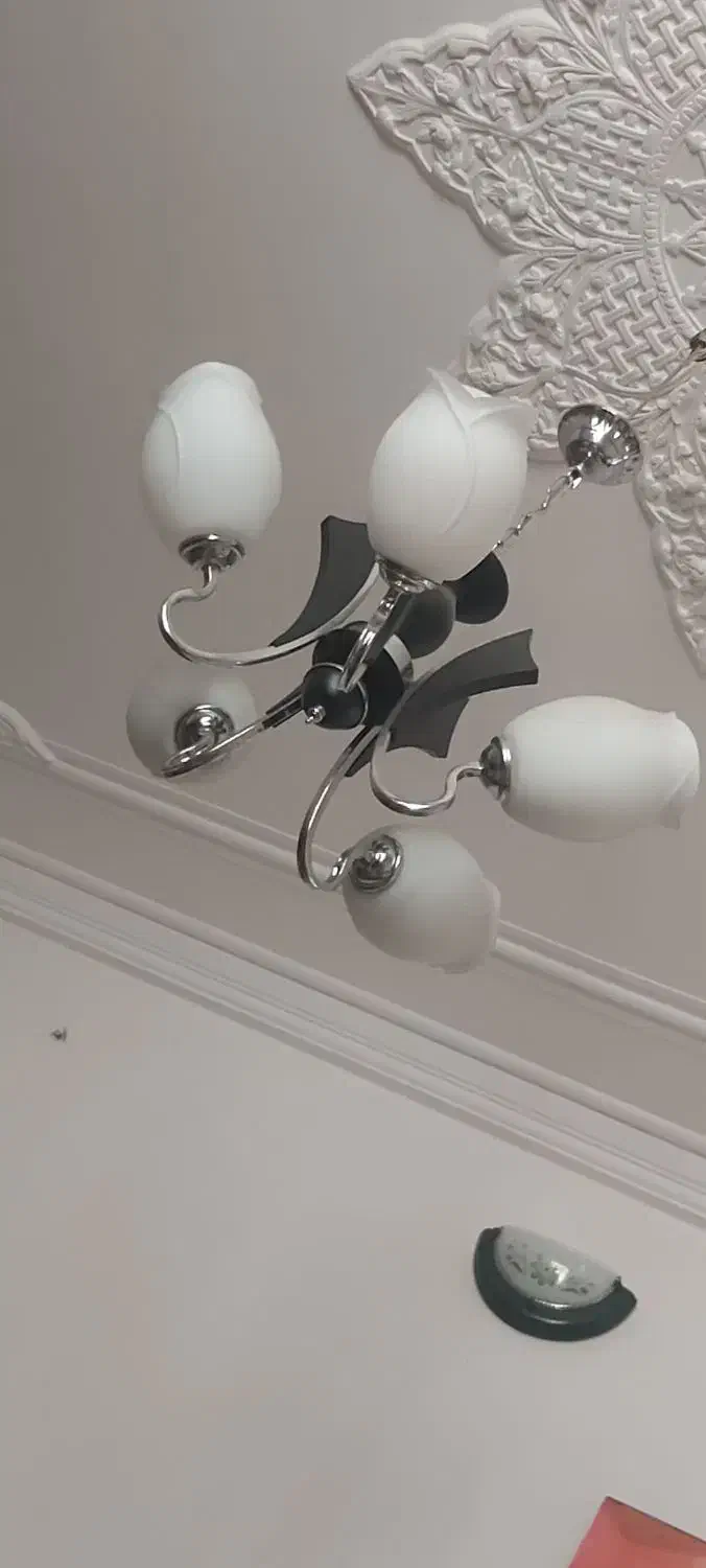 لوستر|لوستر و چراغ آویز|چابهار, |دیوار