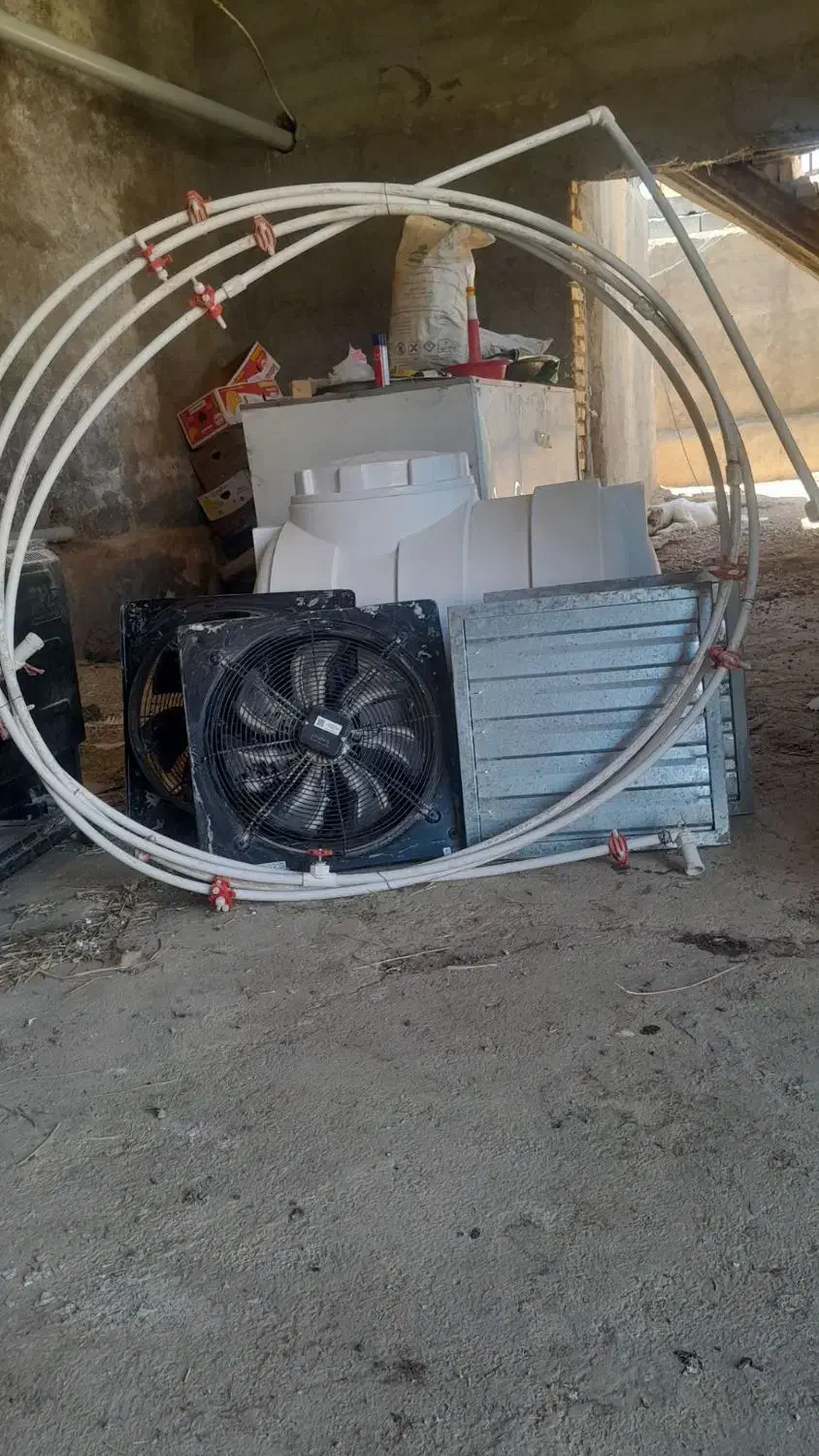 لوازم پروش بوقلمون قیمت مناسب|لوازم جانبی حیوانات|مشهد, هفده شهریور|دیوار