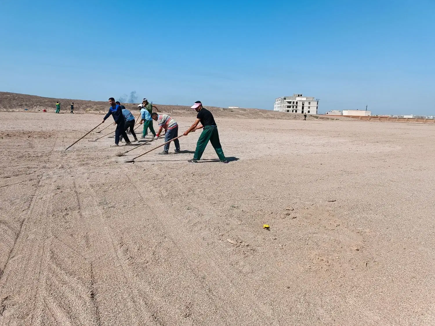 فروش چمن آفریقایی با اجرا، کود|خدمات باغبانی و درختکاری|اهواز, اهواز|دیوار