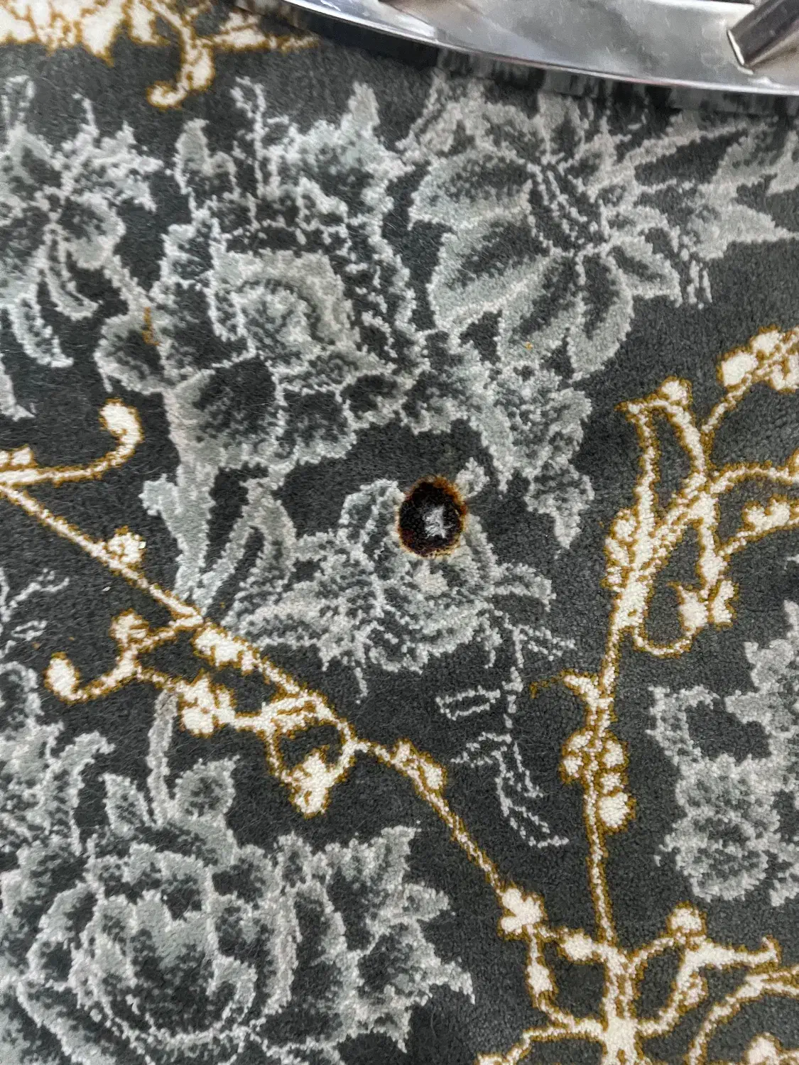 فرش|فرش|پاکدشت, شهرک امام رضا|دیوار