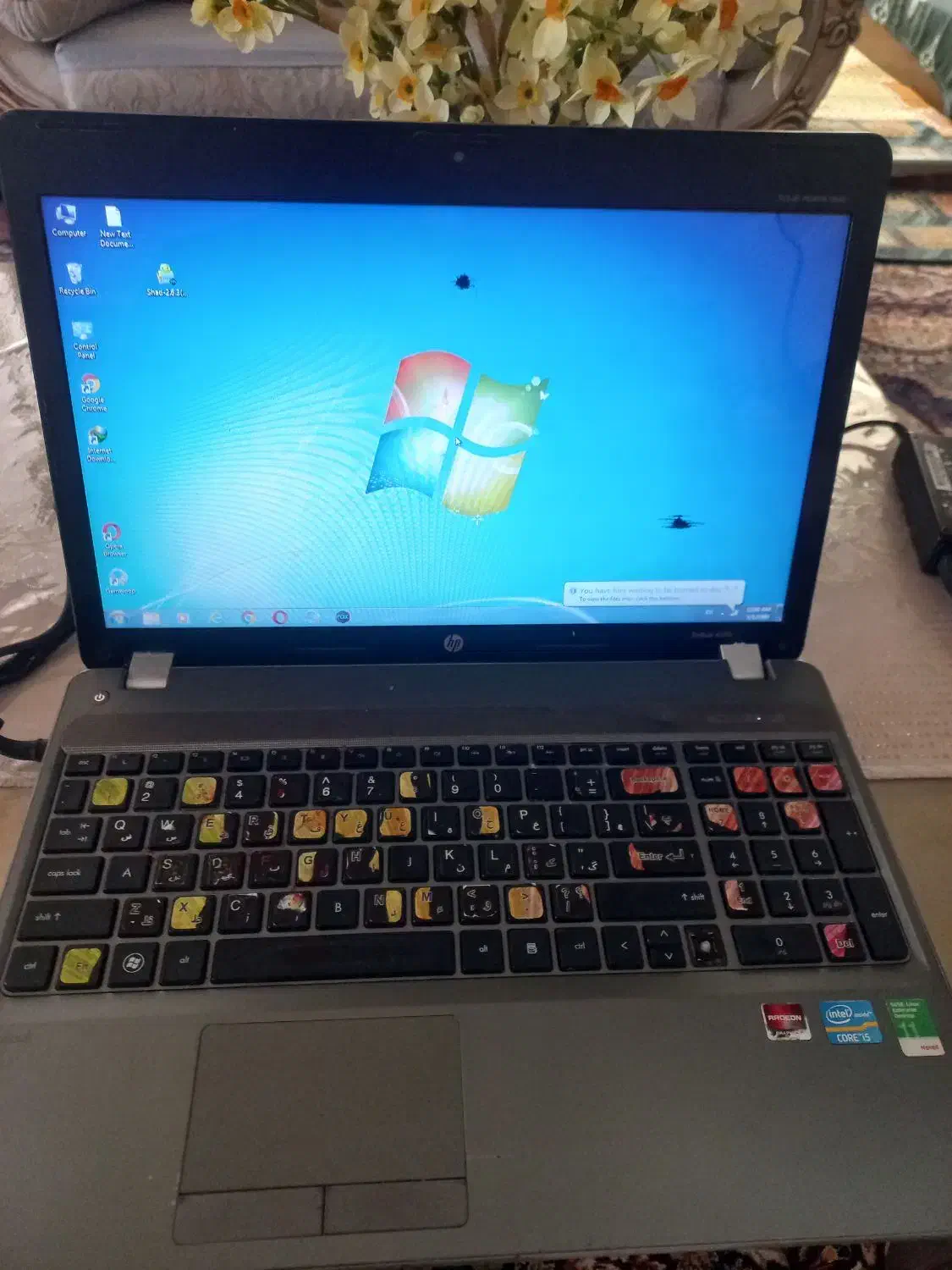 لبتاب hp|رایانه همراه|رشت, باهنر|دیوار