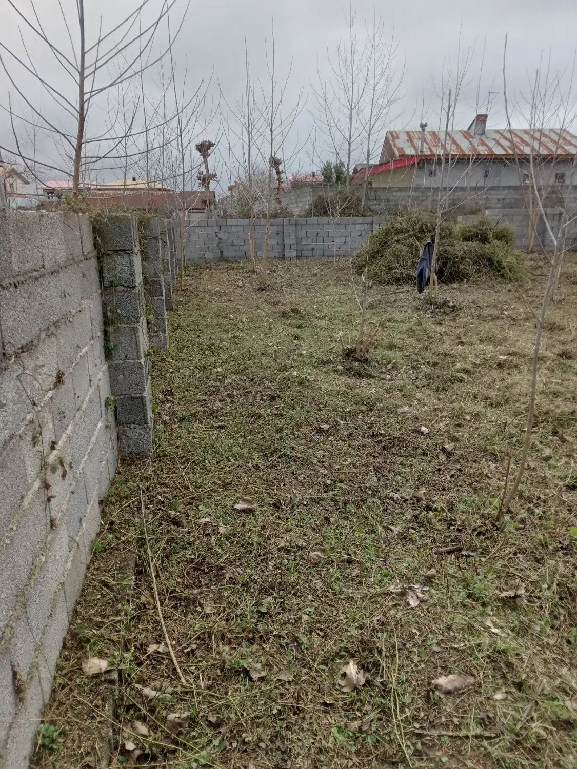 علف زنی زمینها با دستگاه علفزن|خدمات باغبانی و درختکاری|لنگرود, |دیوار