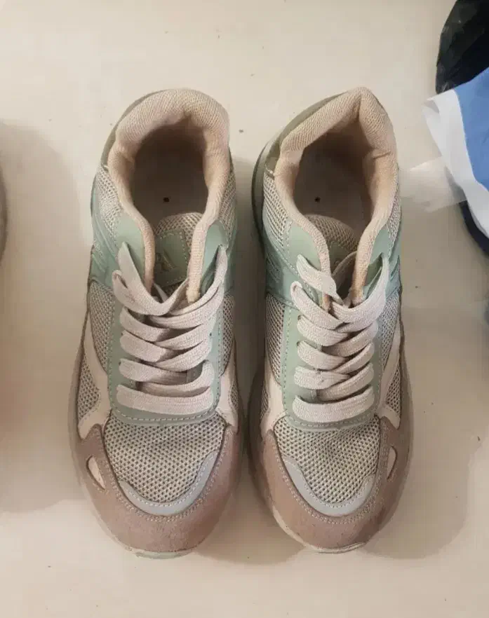 پوشیدنی ها|کیف، کفش، کمربند|گرگان, |دیوار