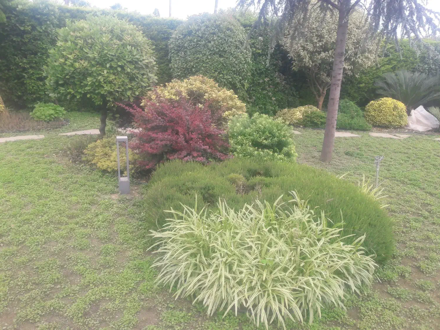 خدمات باغبانی و چیدن میوه روی درخت|خدمات باغبانی و درختکاری|نور, |دیوار