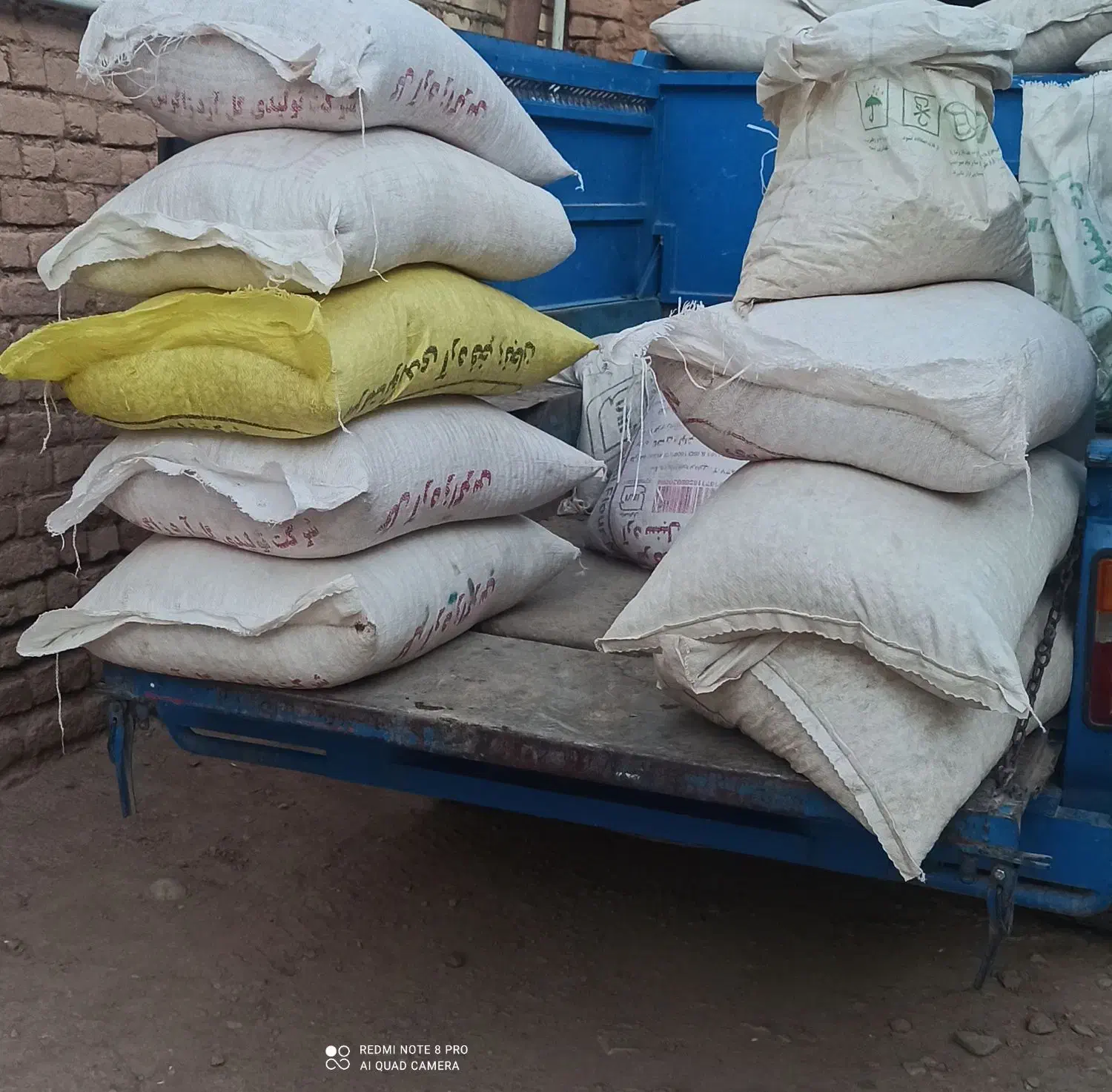 تخمه کدو|عمدهفروشی|قیدار, |دیوار