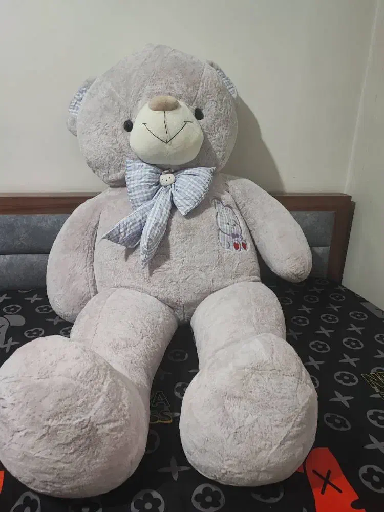 عروسک خرس بزرگ|اسباببازی|ساری, |دیوار