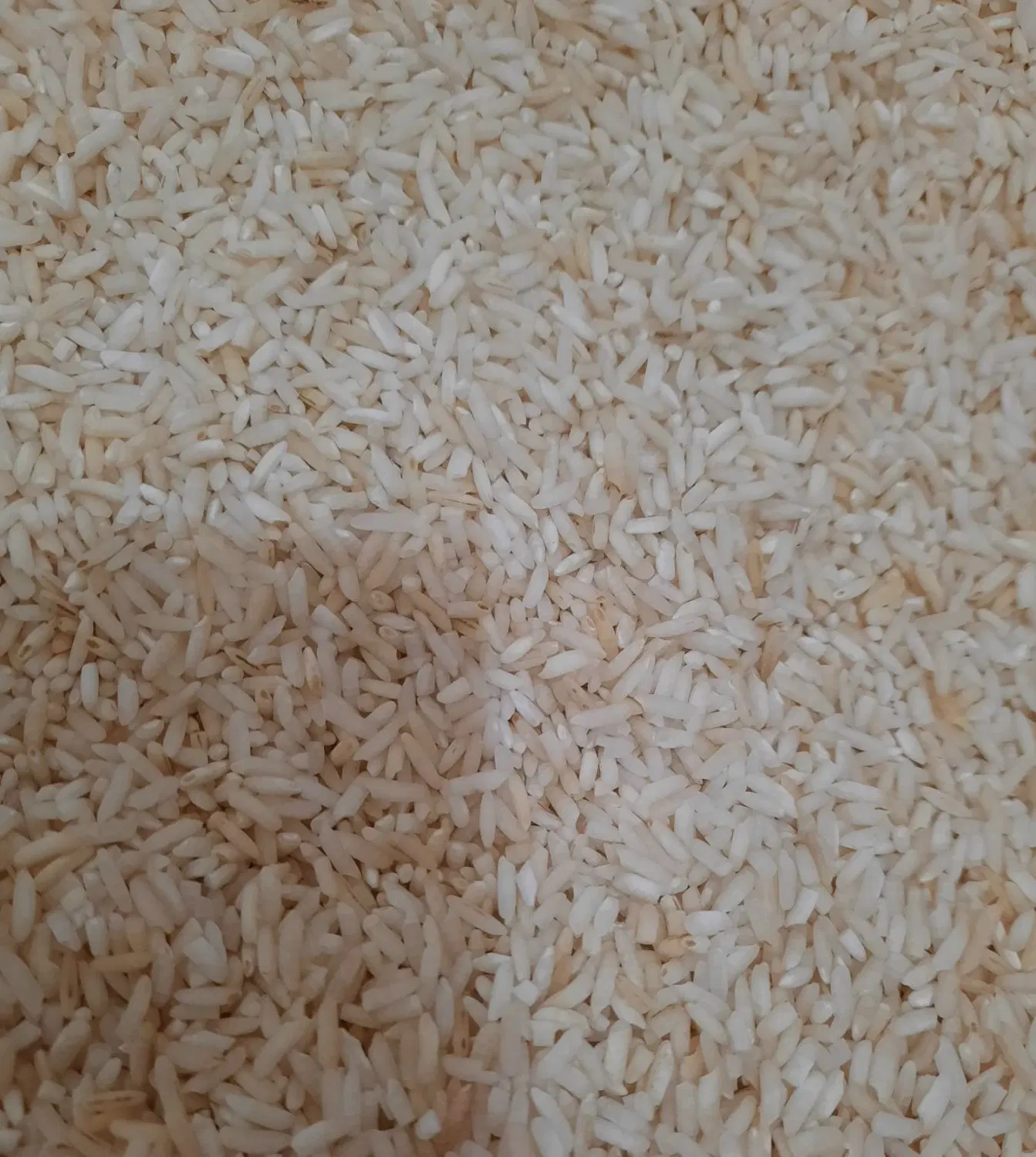 اصلی|خوردنی و آشامیدنی|بندر دیر, |دیوار