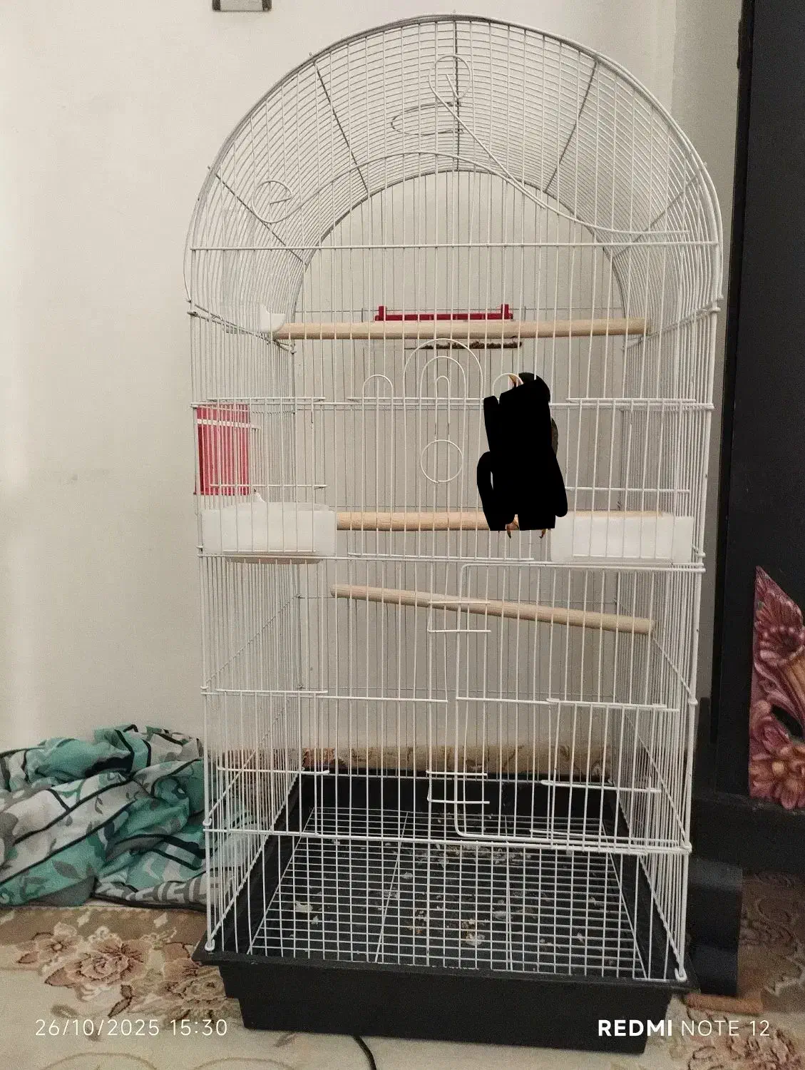 قفس پرنده|لوازم جانبی حیوانات|کرمانشاه, |دیوار