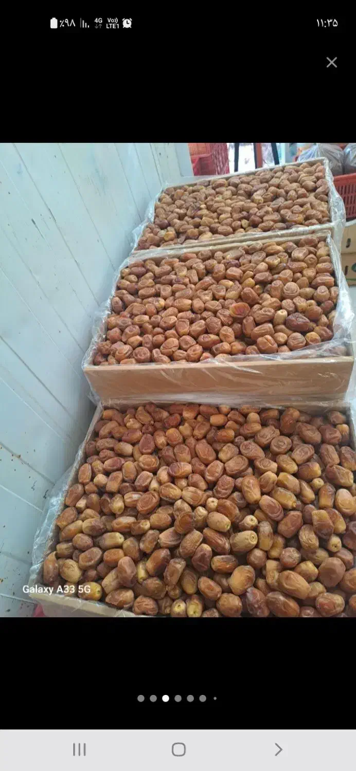 خرما زاهدی نرم|خوردنی و آشامیدنی|قم, قلعه کامکار|دیوار