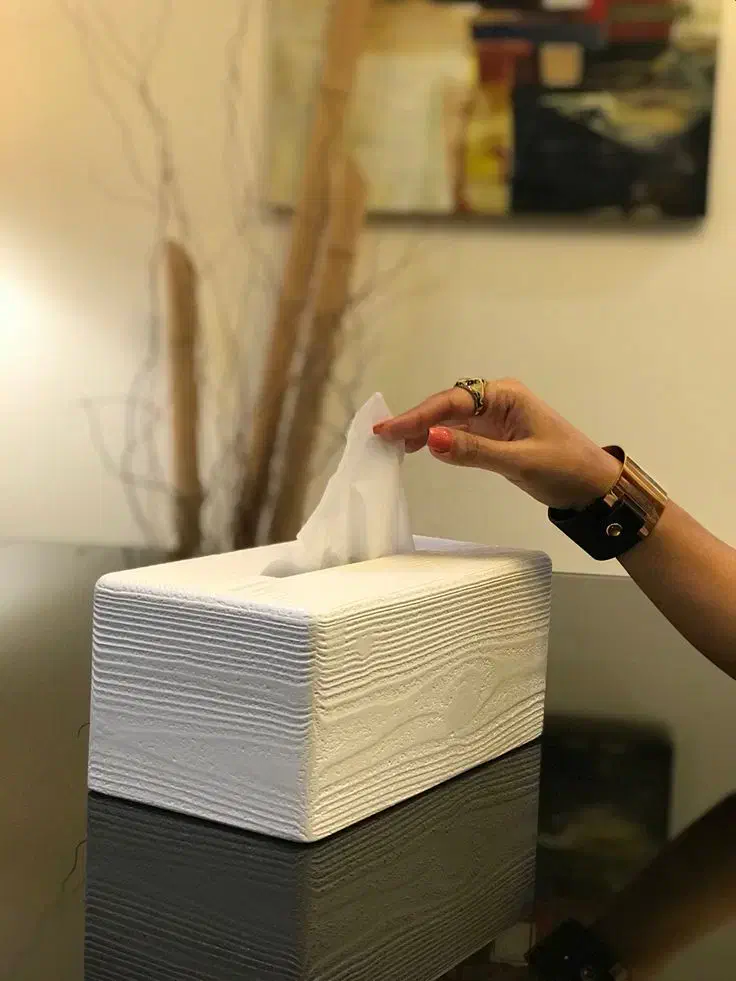 دستمال|مواد شوینده و دستمال کاغذی|تهران, تهرانپارس غربی|دیوار