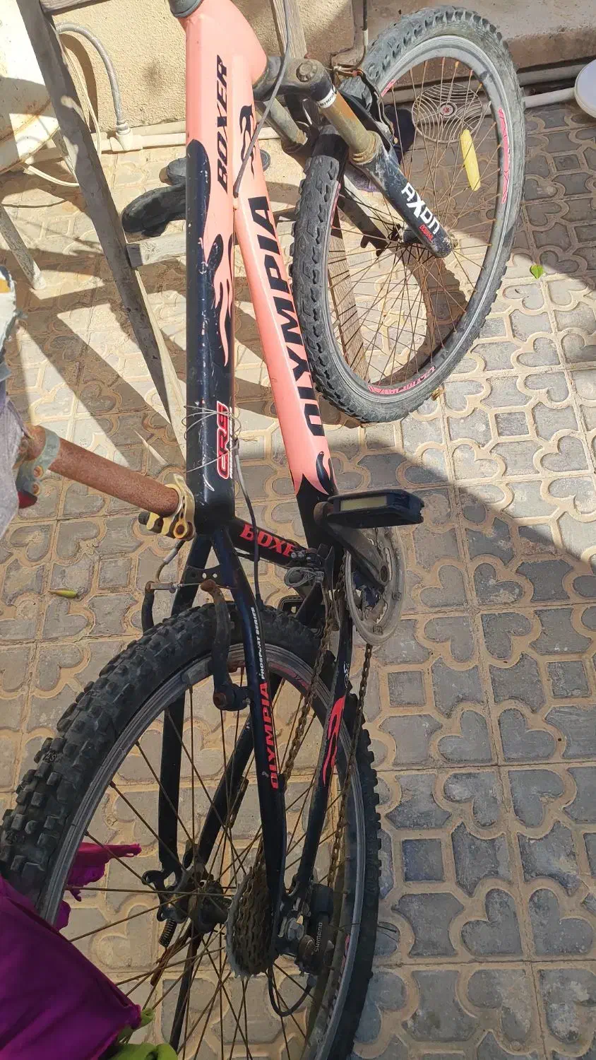 دوچرخه 24|دوچرخه، اسکیت، اسکوتر|بوشهر, |دیوار