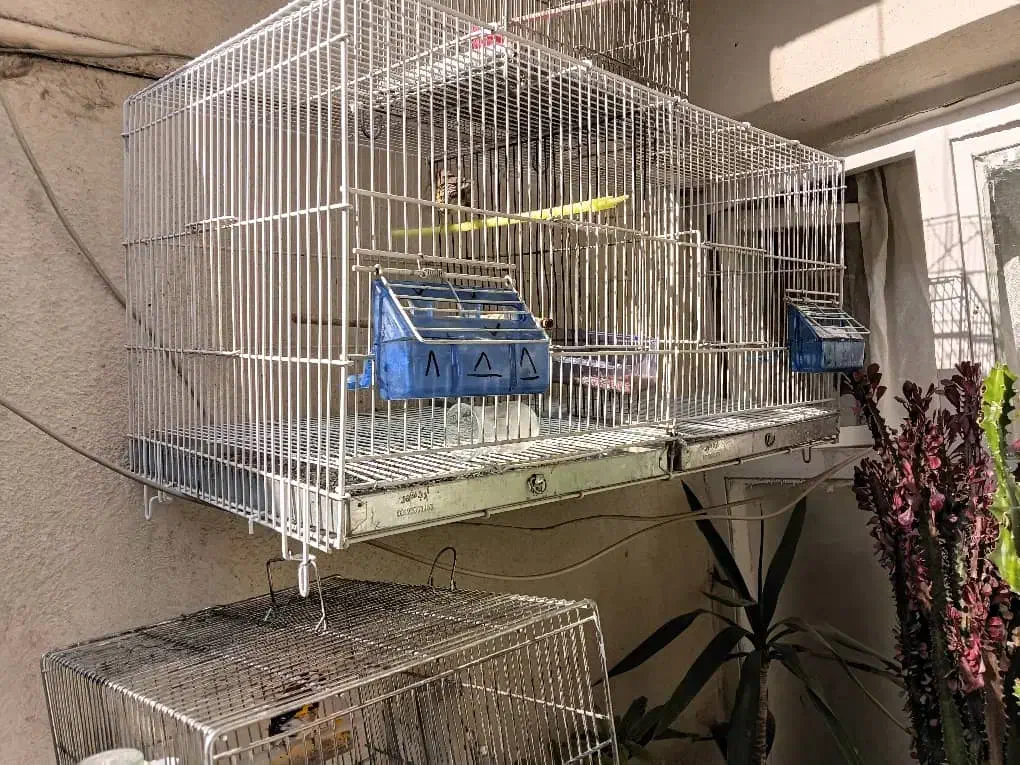 قفس پرون اردشیر|لوازم جانبی حیوانات|تهران, فلاح|دیوار